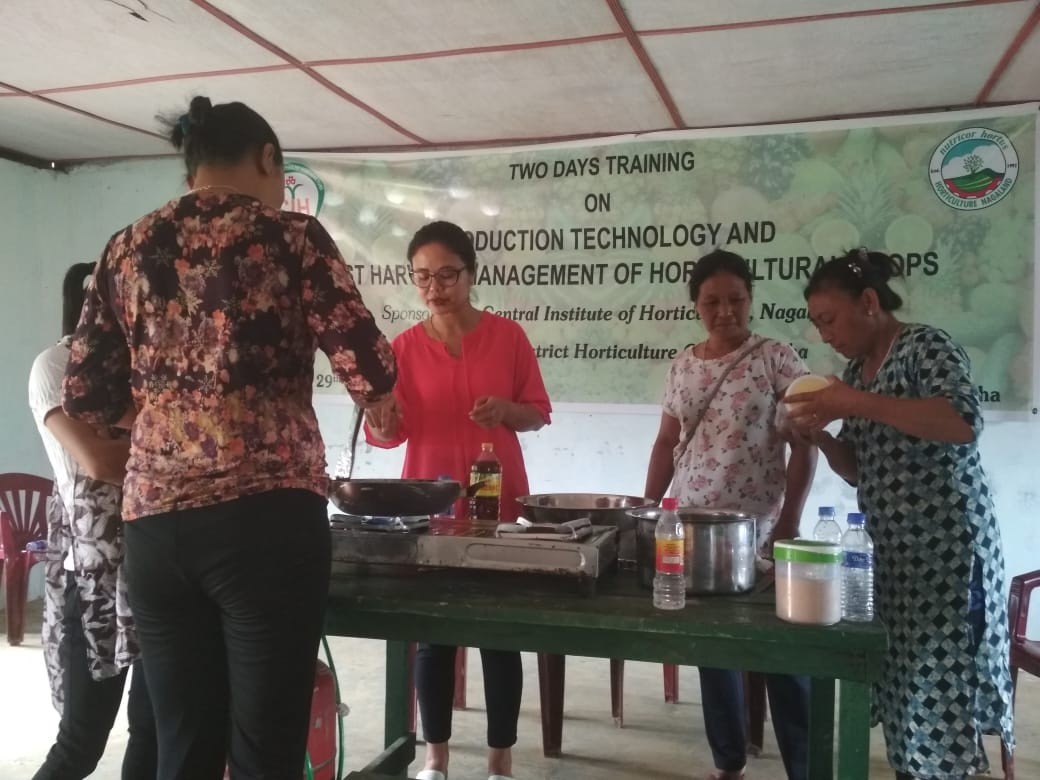 two days farmers training held at Sanis Village Wokha